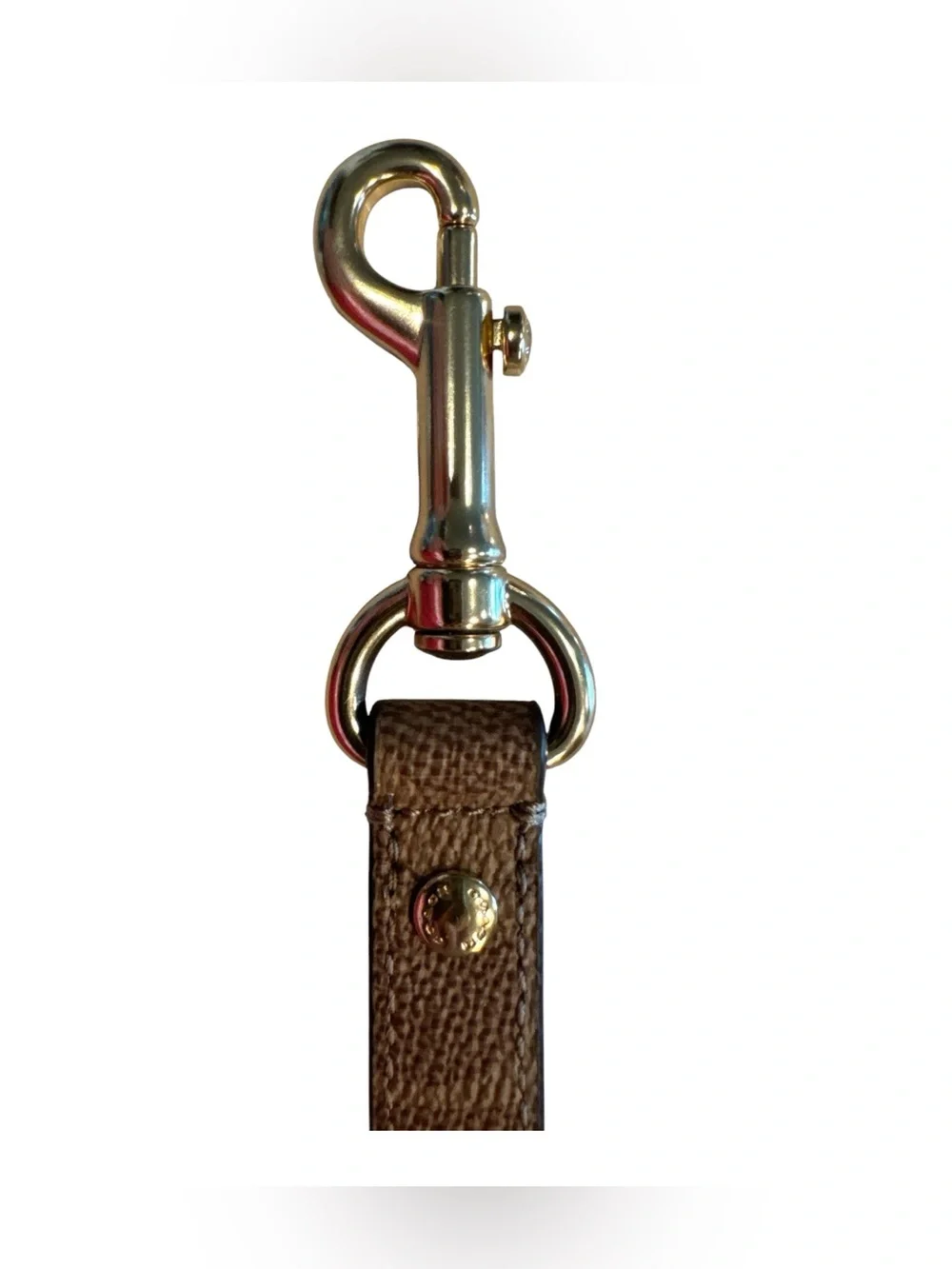 Coach Boxed Pet Leash in Signature Brown Canvas with Gold Hardware